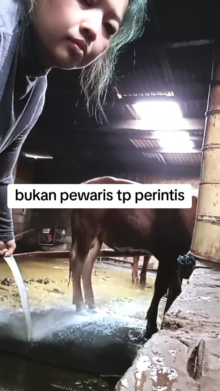 @wanita ke 2