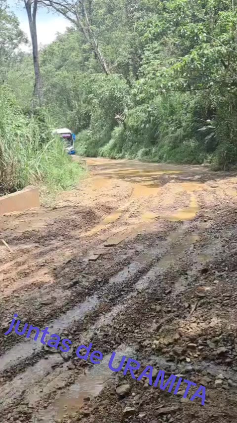 @ruñido