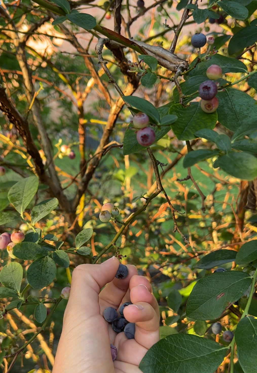 @Em Wald