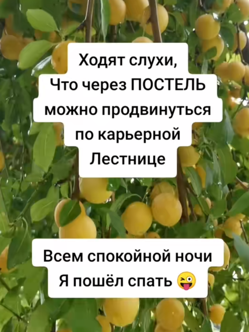 @🇰🇿Andrej🇩🇪