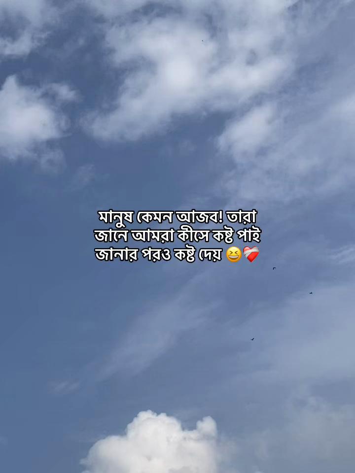 @Jamia❗