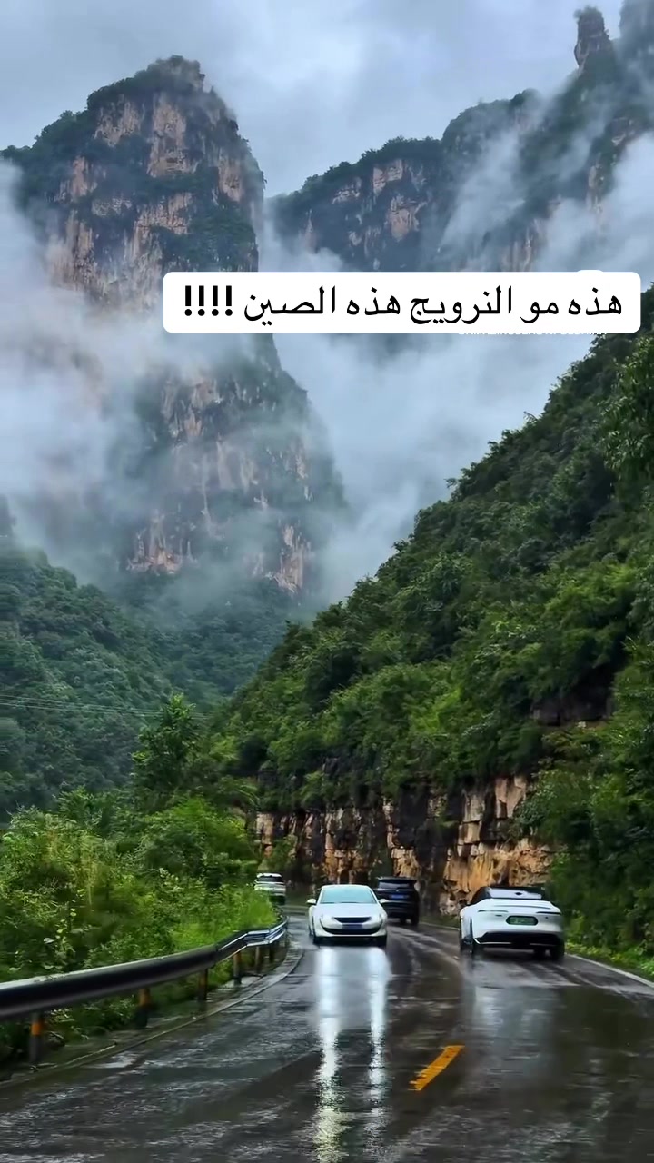 @روح العالم 🇸🇦🇷🇺