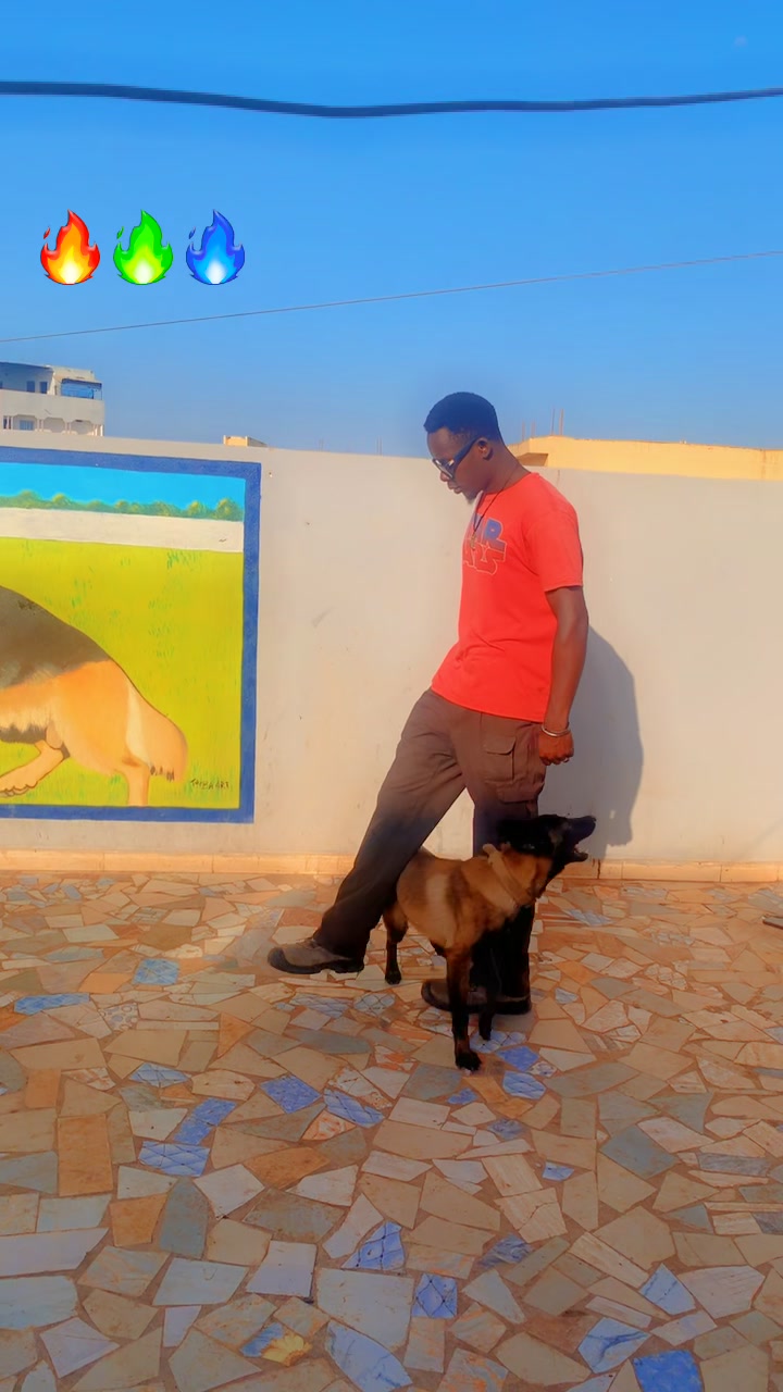@G.I.C.N 🇸🇳🐾Ma&icirc;tre Weuz🐕&zwj;🦺