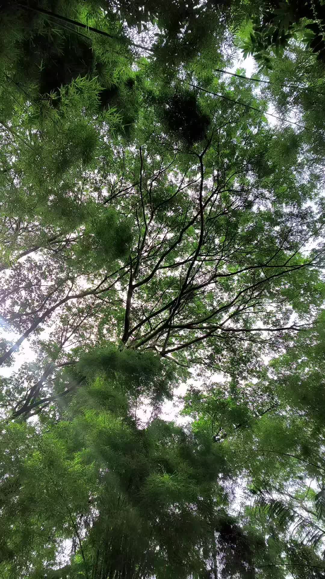 @Aung khant