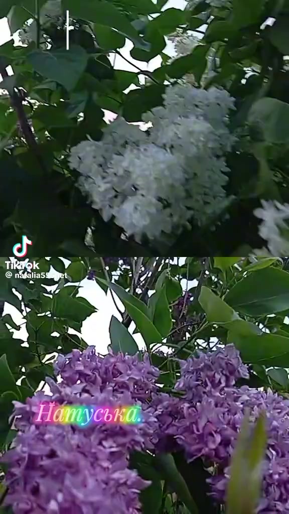 @Наталья Смирнова5798