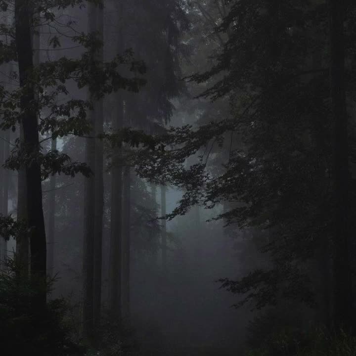 @Депутат Дон