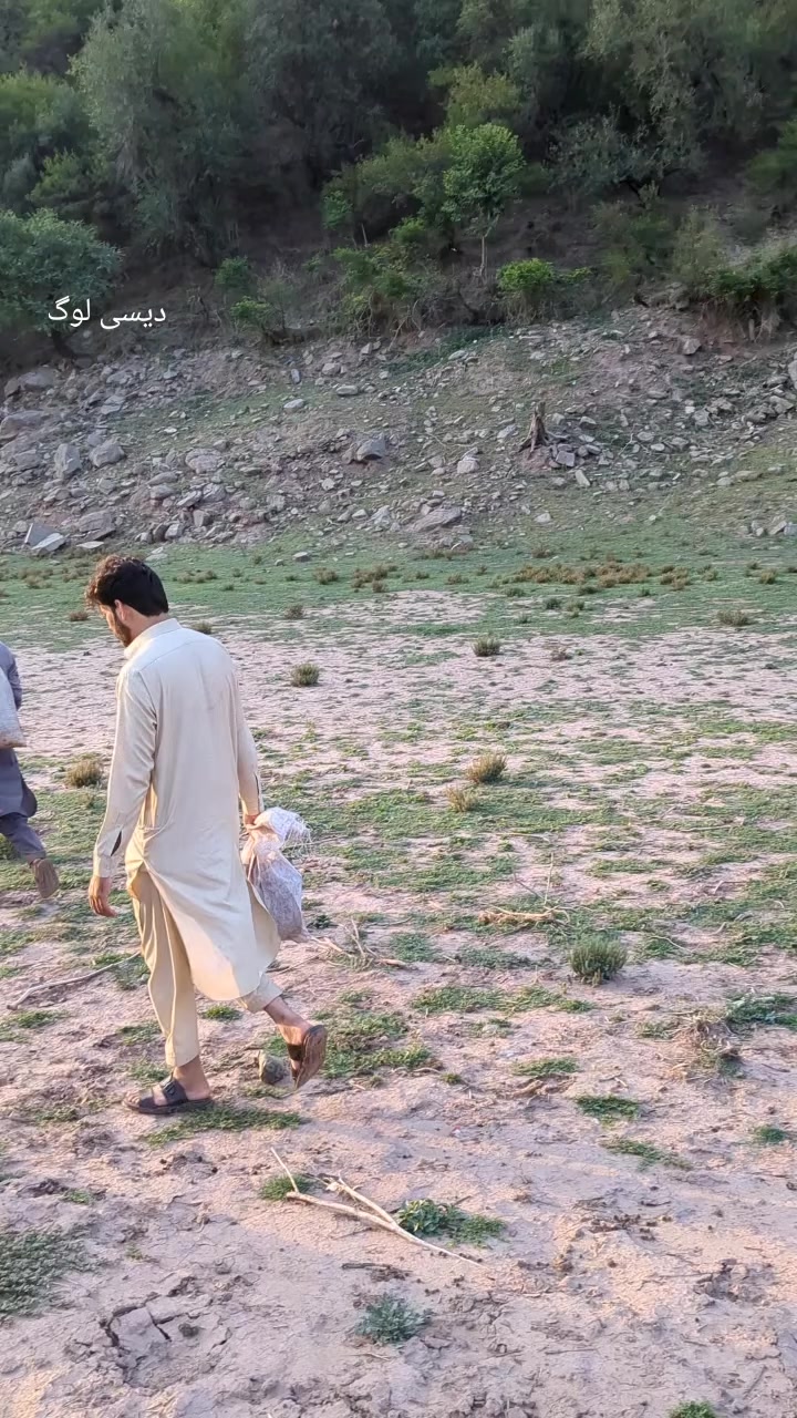 @شارق دھنیال 🥀