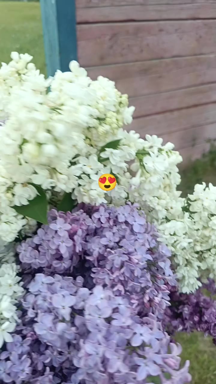 @❤️🍷Svetohka❤️🍷