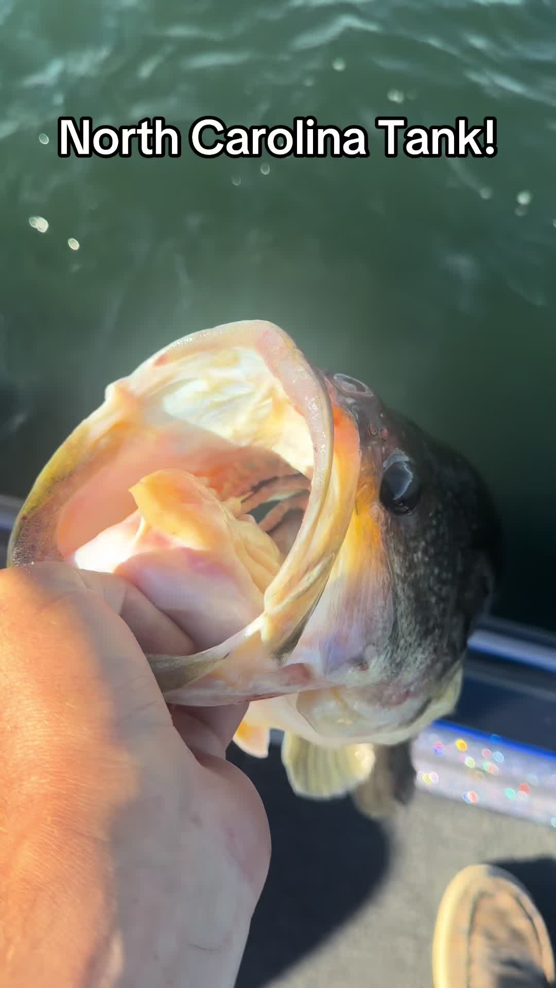 @evan_whitefishing