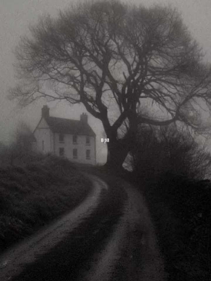 @👻𝐒𝐇𝐀𝐁𝐋𝐎𝐍👻