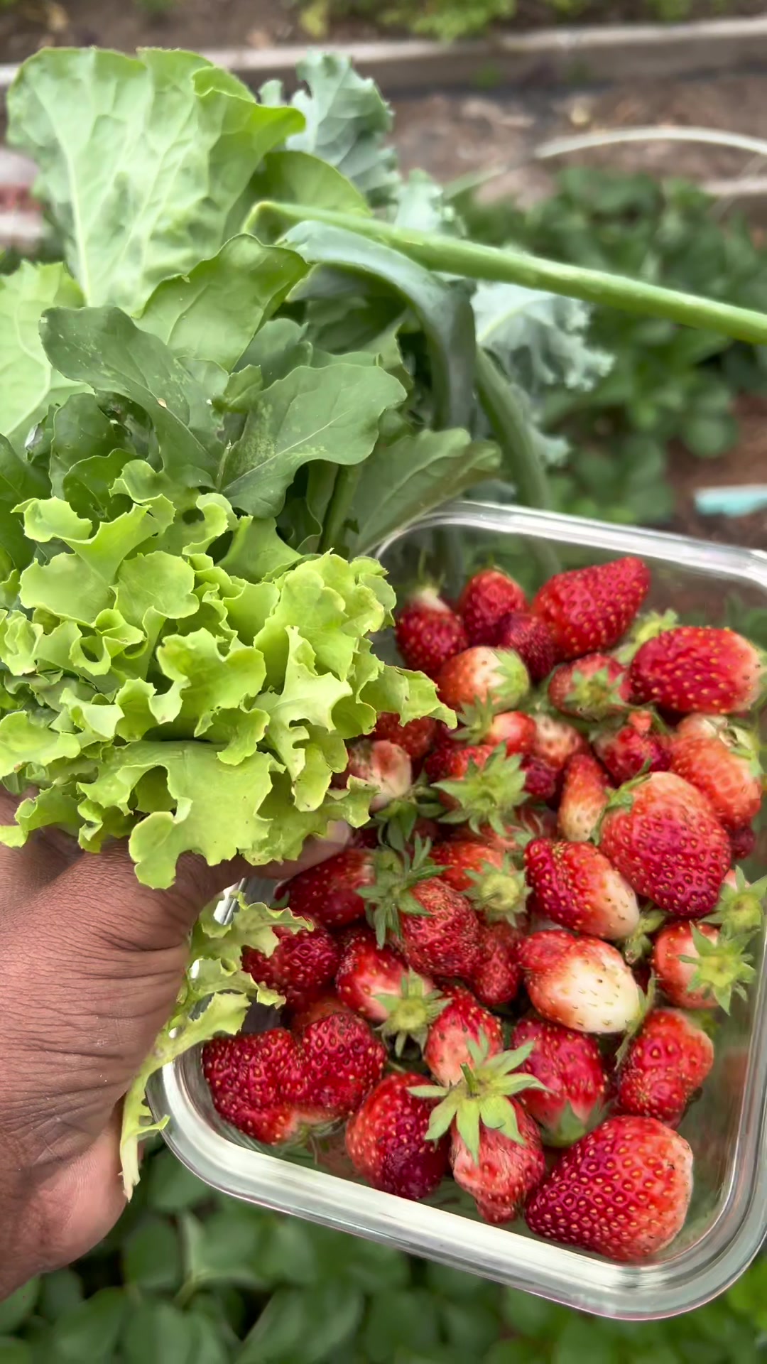 @Gardening4ME