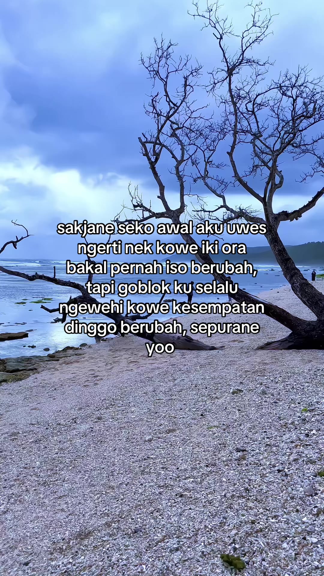 @Momoo