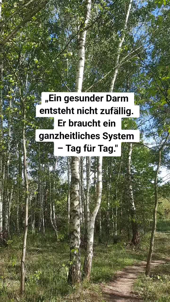 @healthylife_borjana