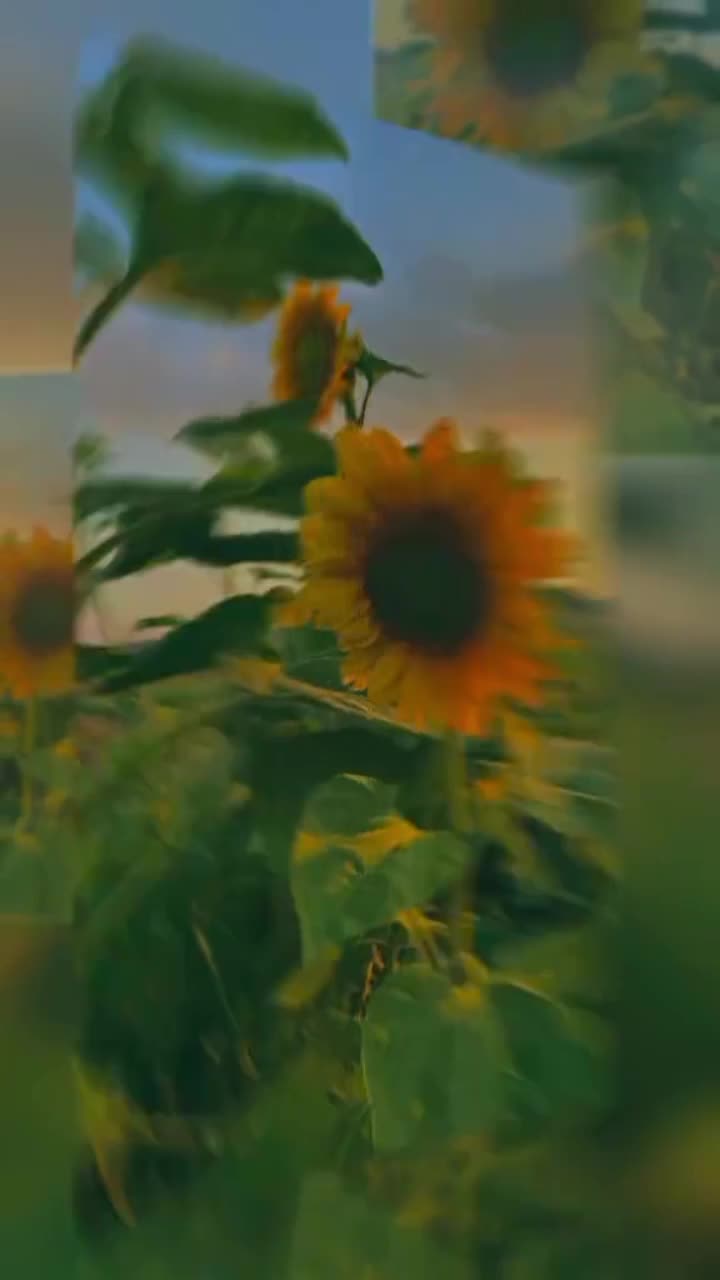 @мама солдата 😎