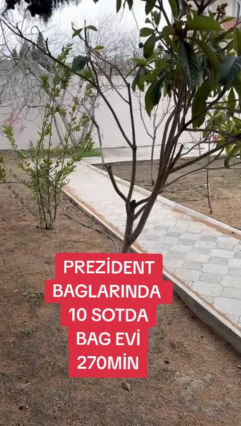 @X&uuml;susi Emlak