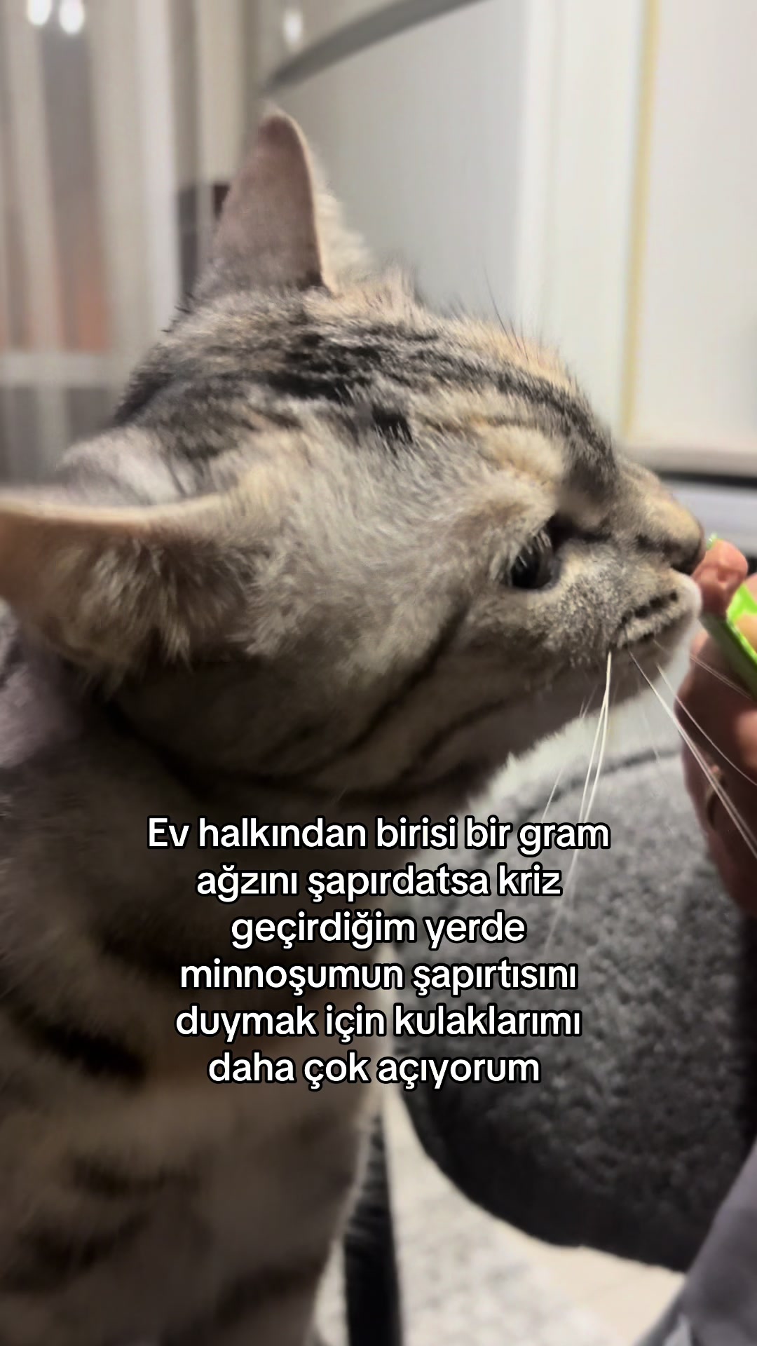 @R&uuml;ya g&uuml;lderen