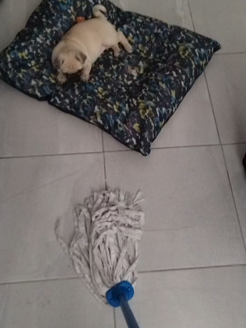 @Mamá Oso 24