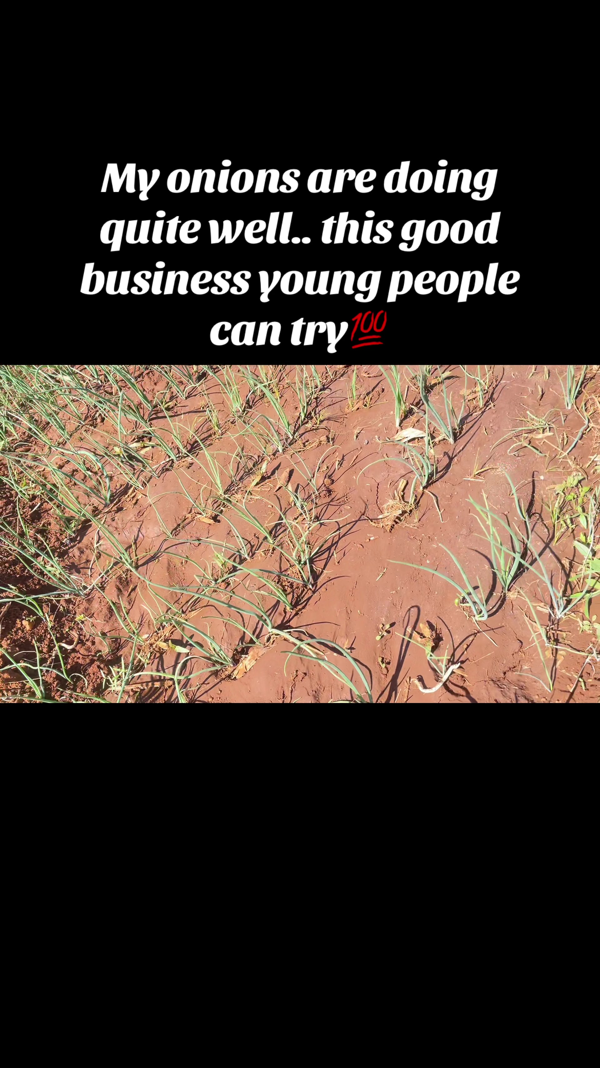 @IAN  🚀🚀