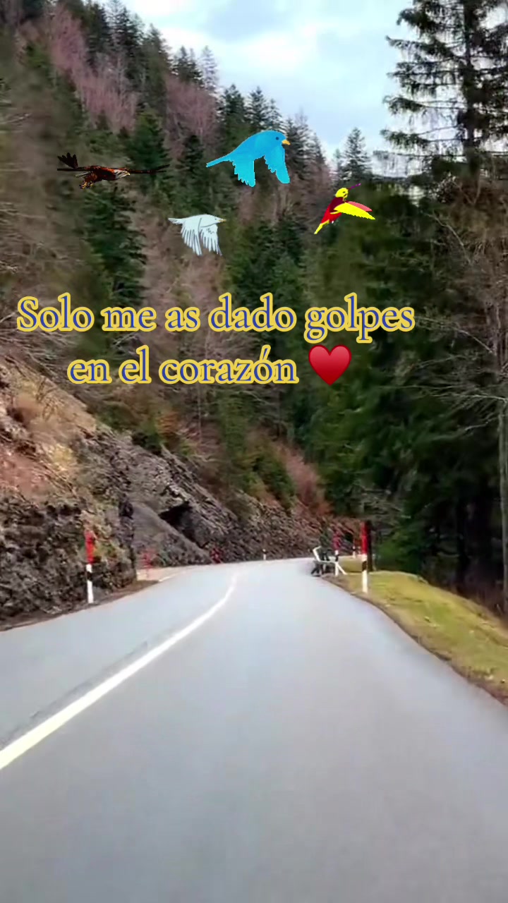 @JC &hearts;️Tu Consentido