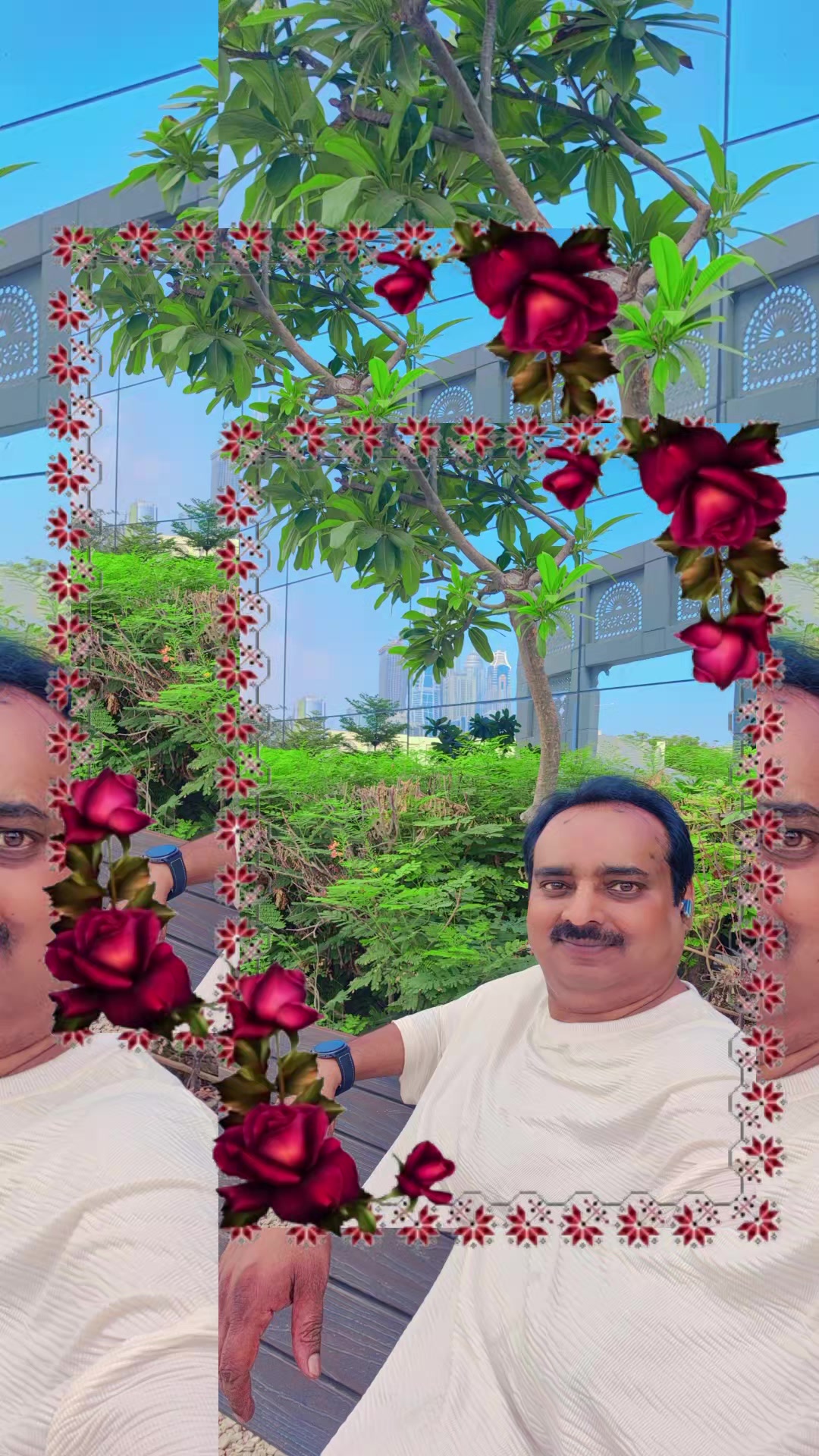 @M Hussain 786