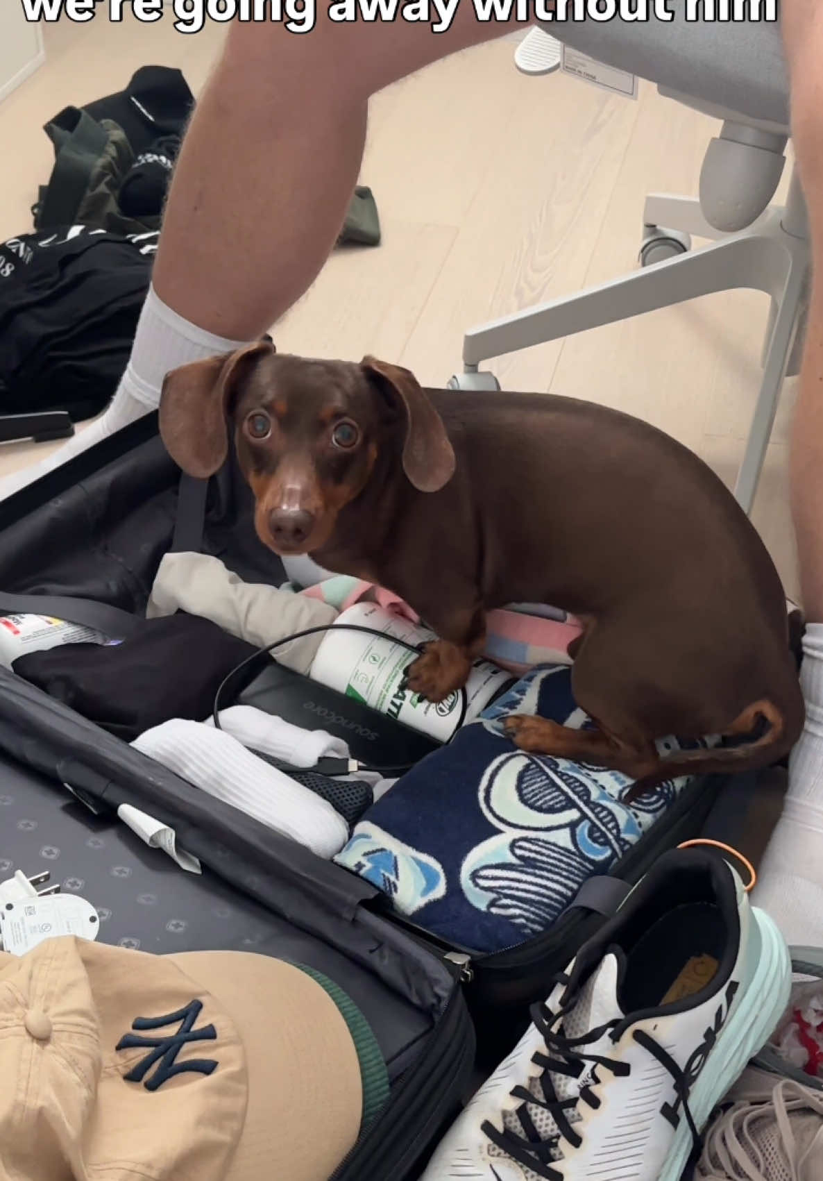 @sebbythesausage