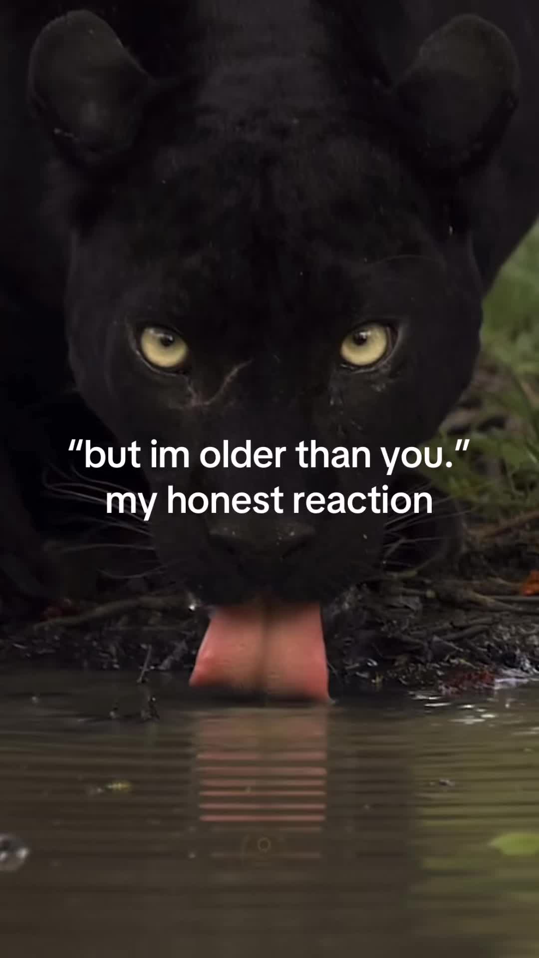 @user3719373919
