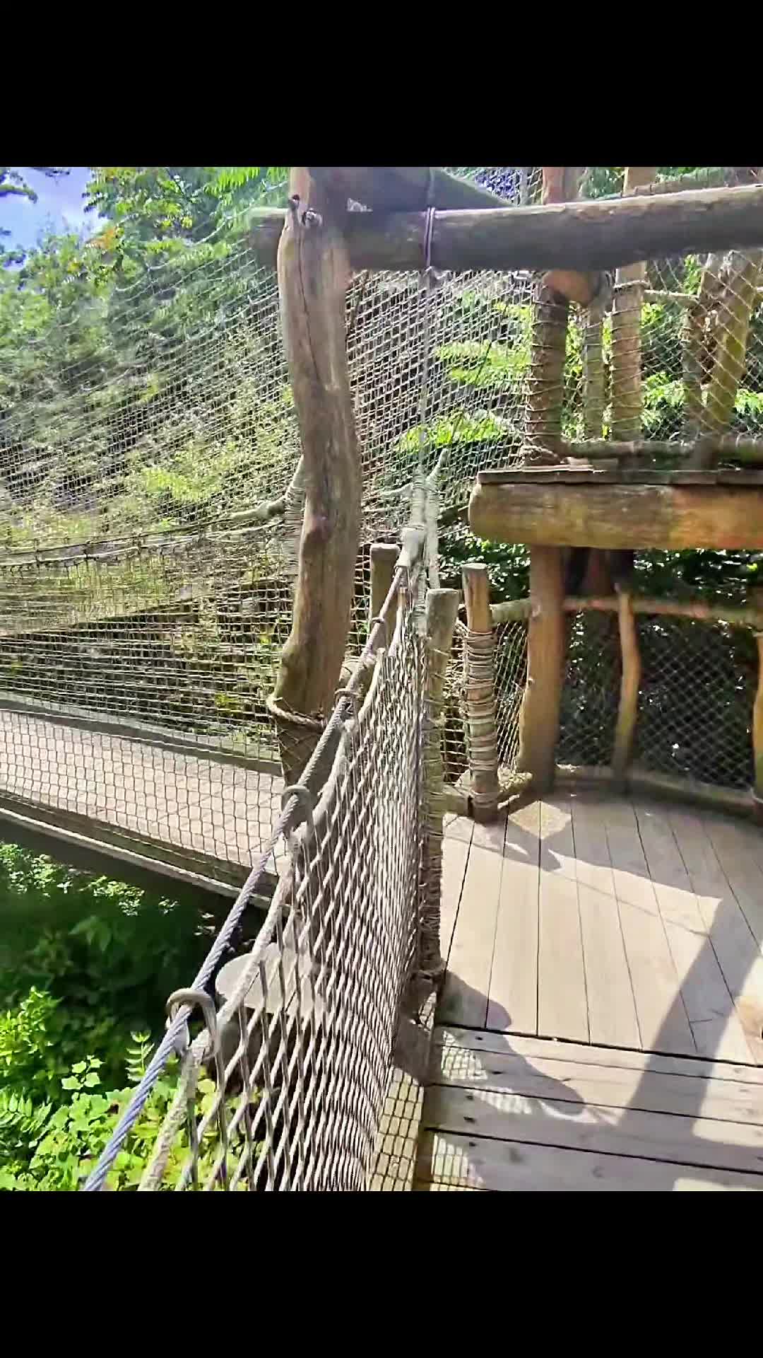@Charliechill125