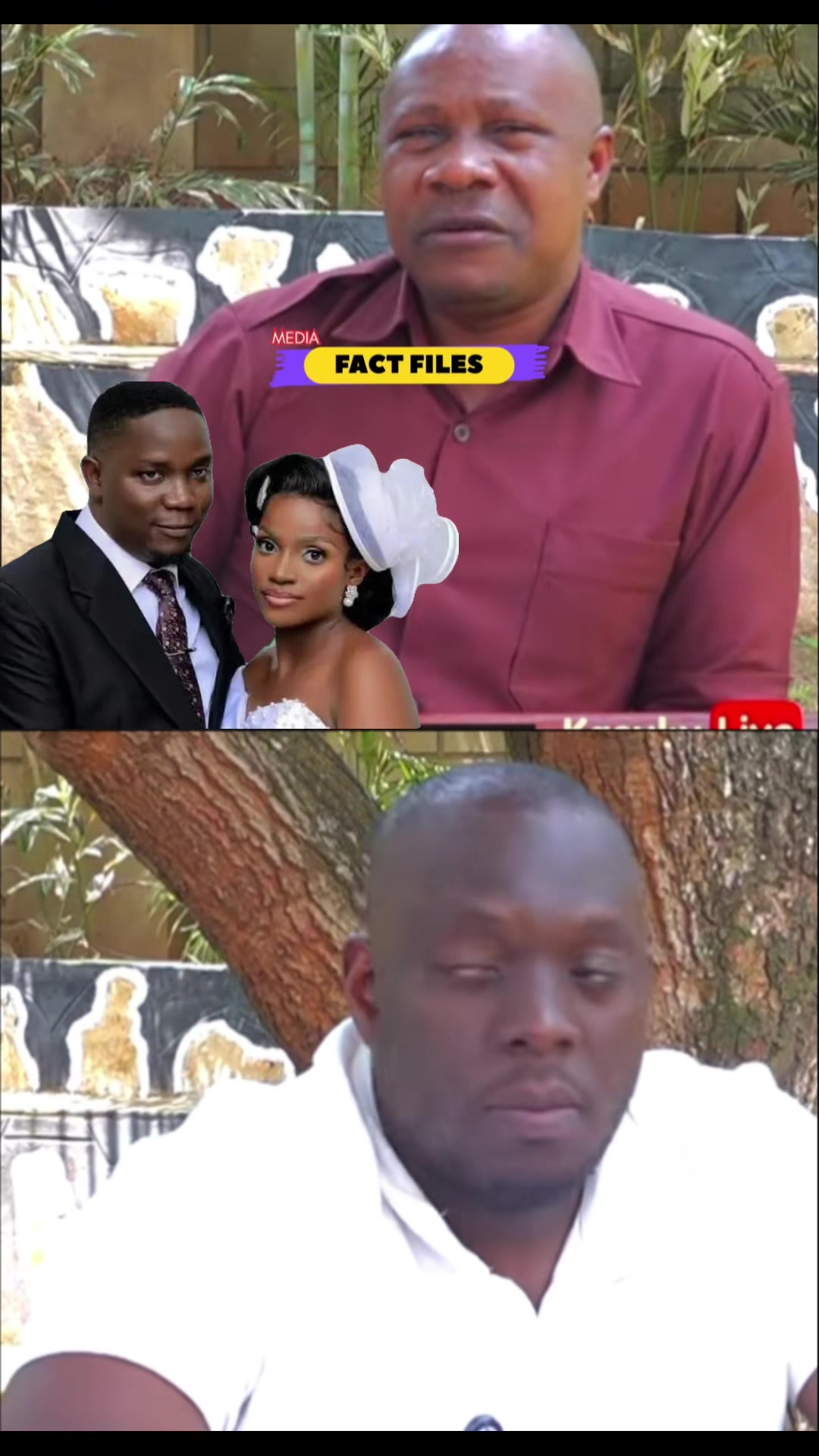 @FactFilesMedia