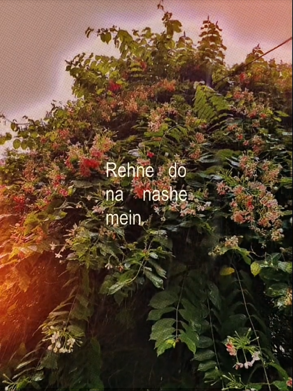 @Hᴜᴢᴀɪفᴀ🚩