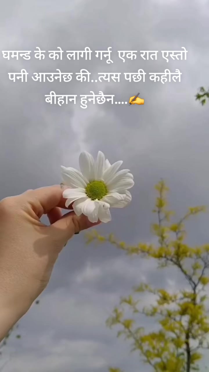 @Heera💎