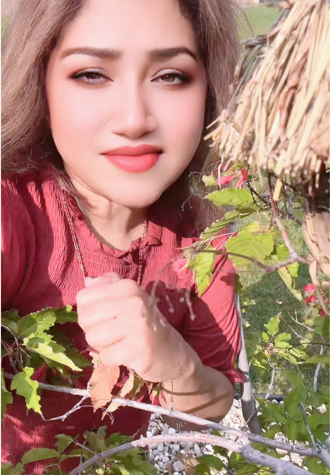 @Geethu🇨🇦🕊️