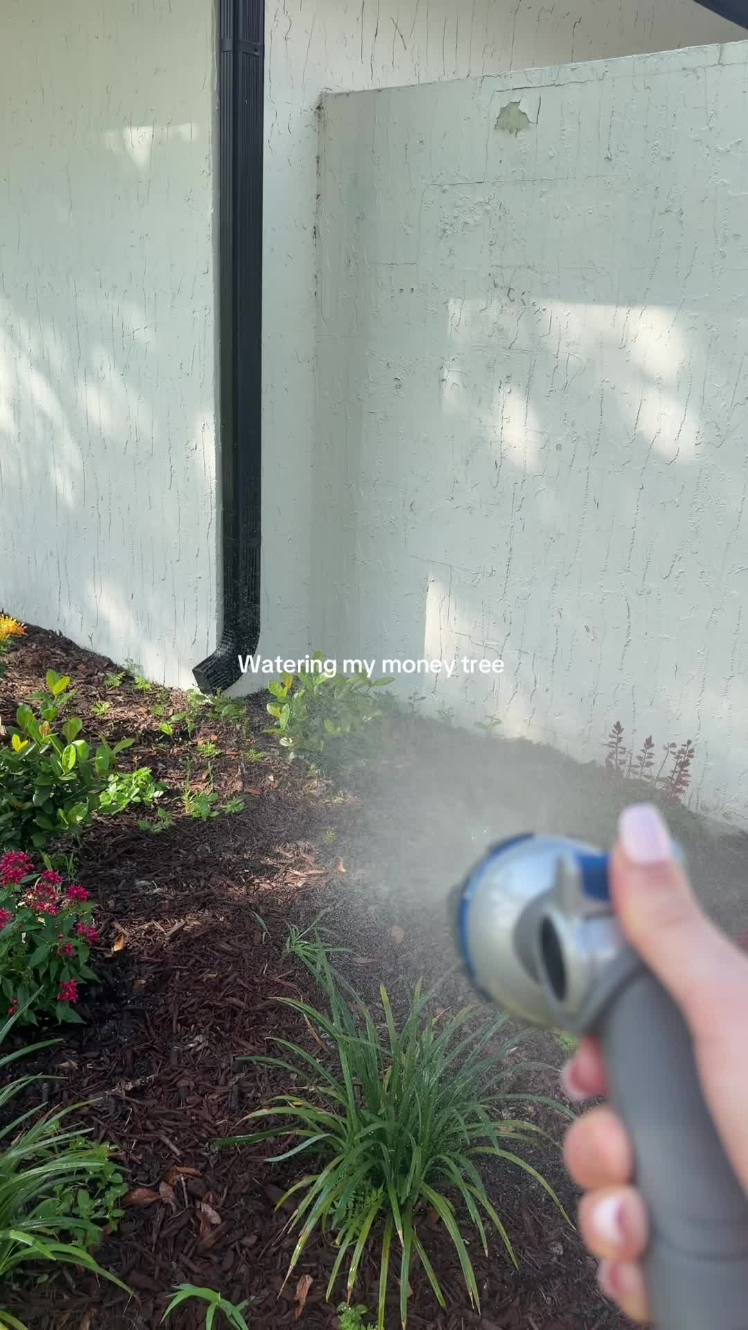 @Sarah