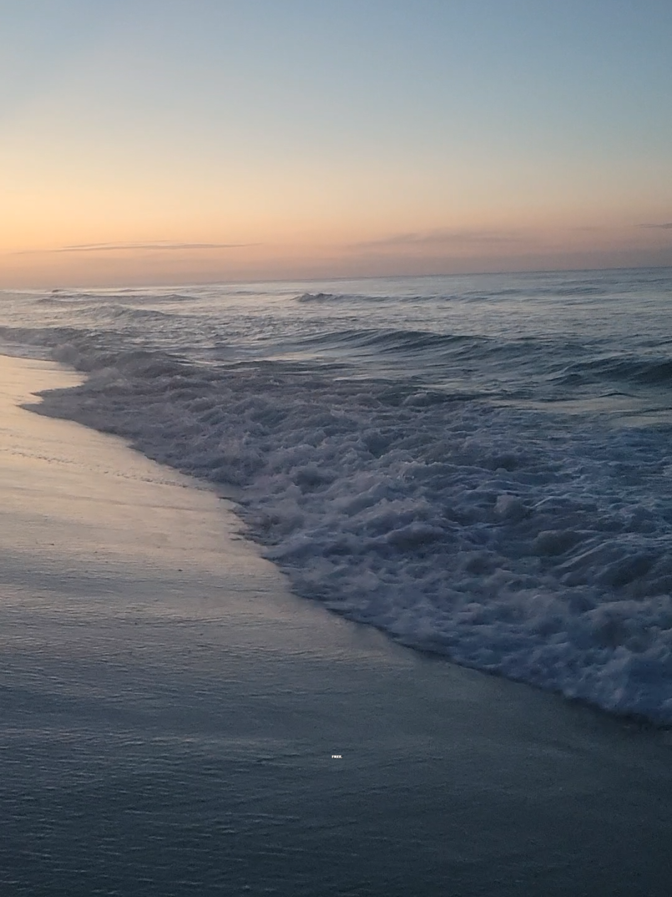 @TheBeachIsFree
