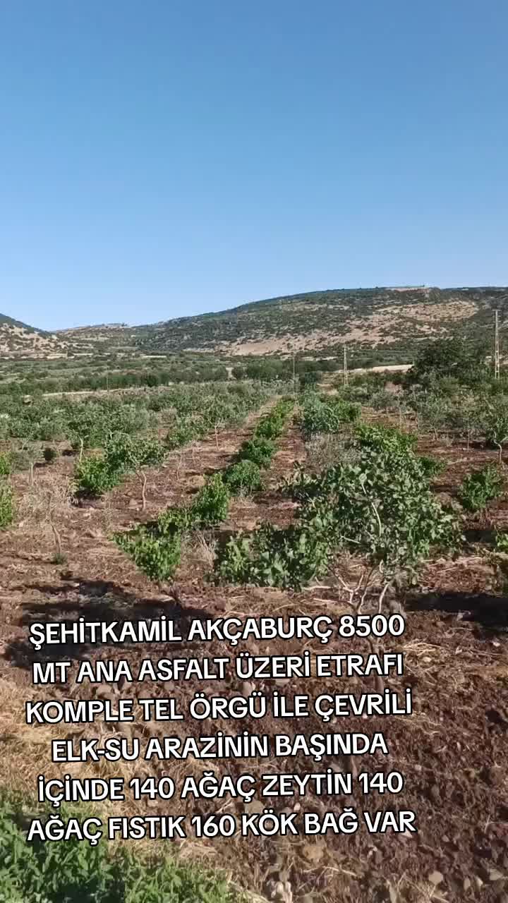 @canpolat emlak 27