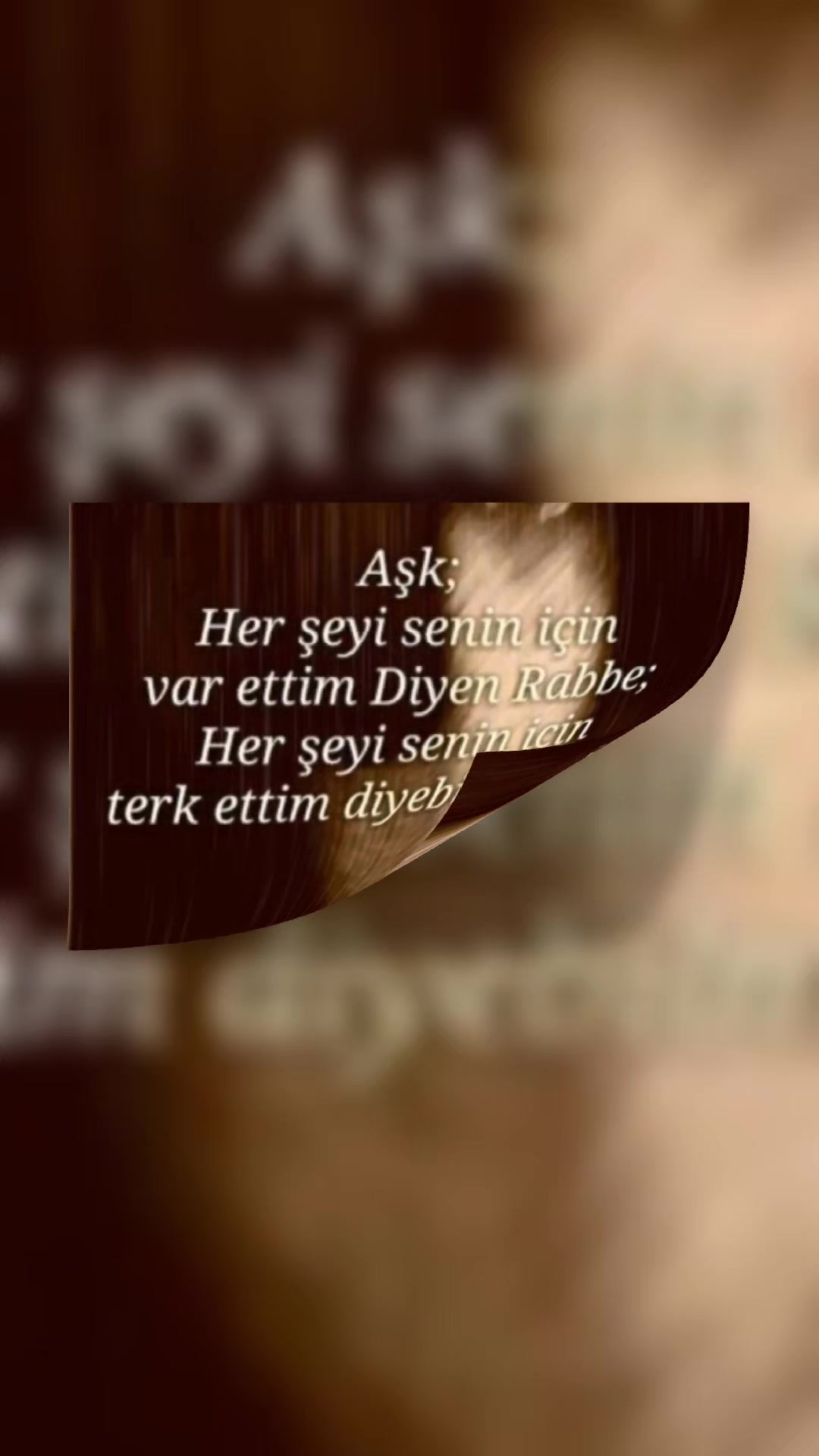 @Elvin_Elvin