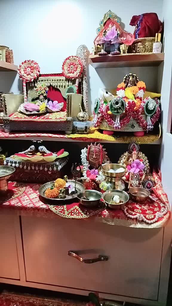 @Anjani Thakur🌻🌻