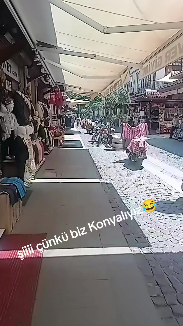@mevld.dgl