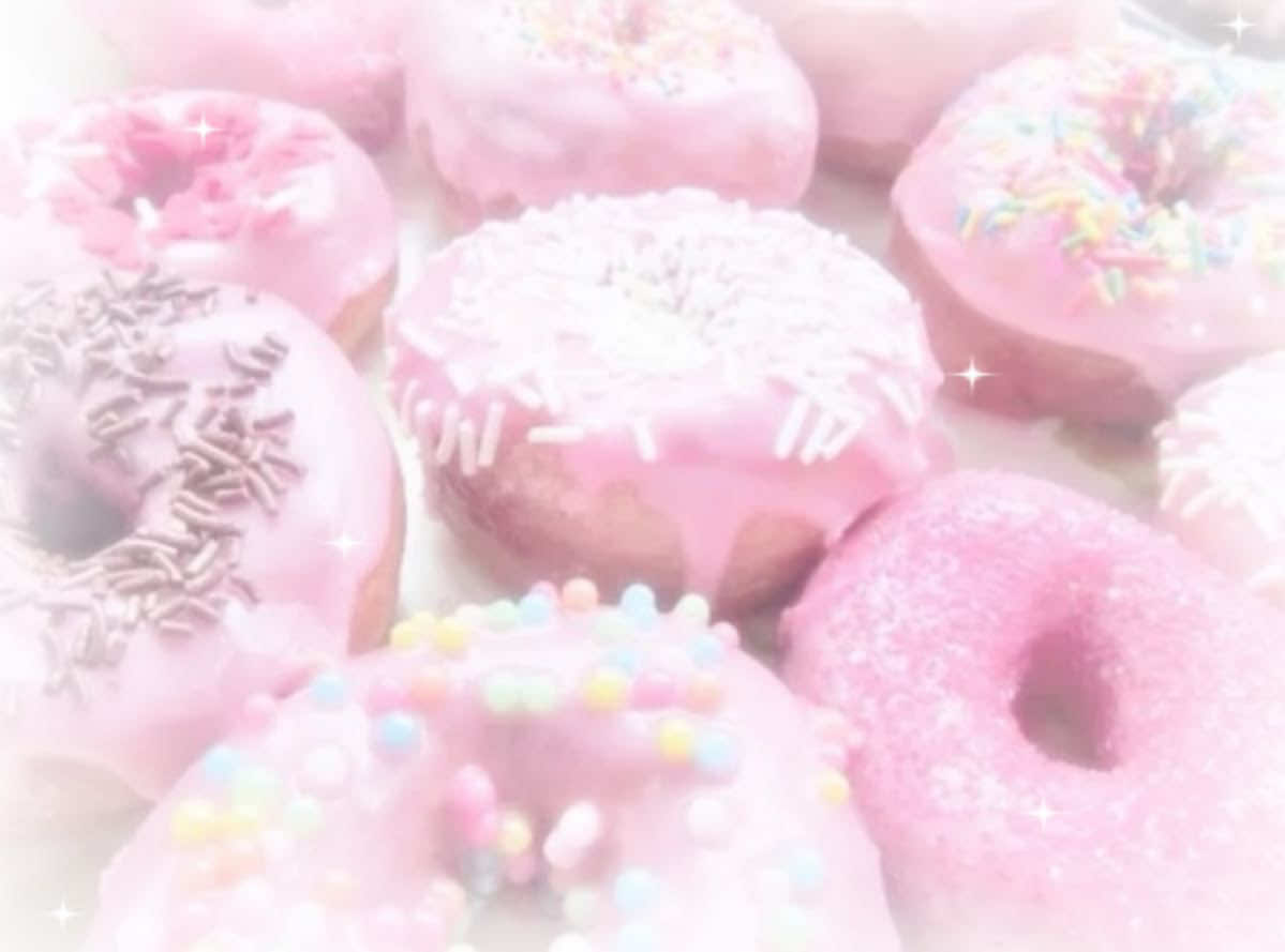 @꒰ 🐾𑣲 ᥴᥲ𝗍gіrᥣ ۶ৎ ۫🪽