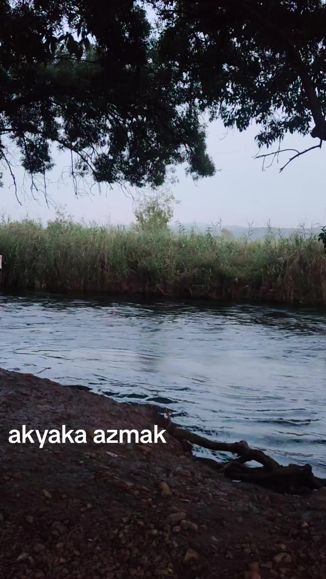 @Ismail Ateş 6679