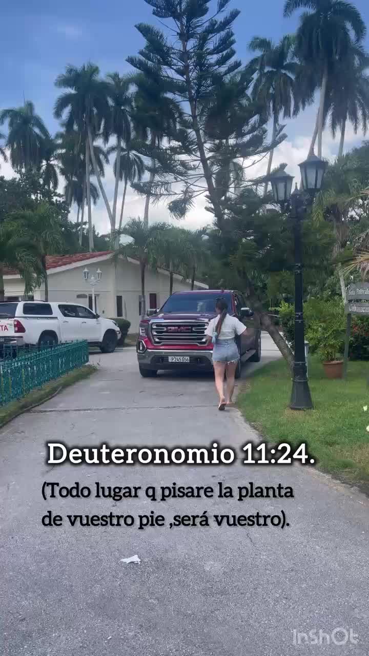 @bty_fdz