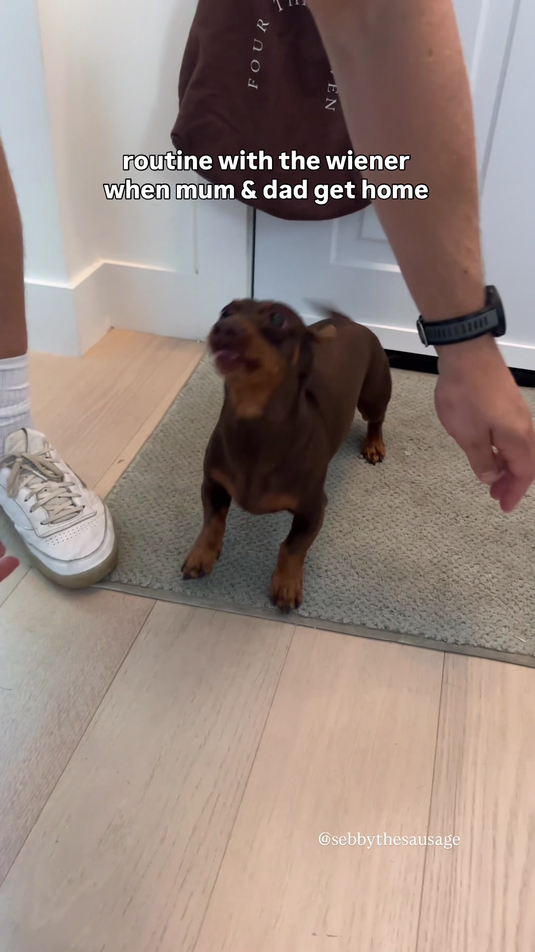 @sebbythesausage