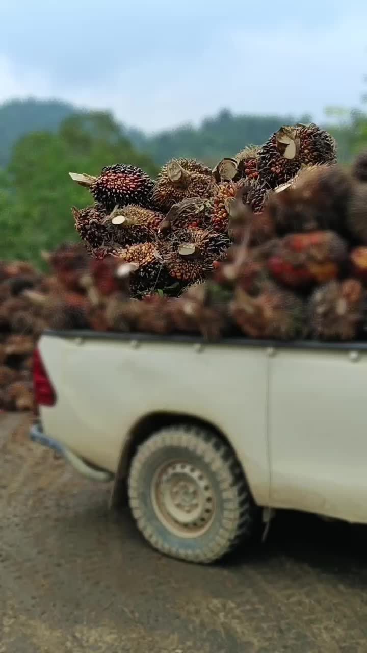 @RoHaIzAd_Rahim🇲🇾🇲🇾