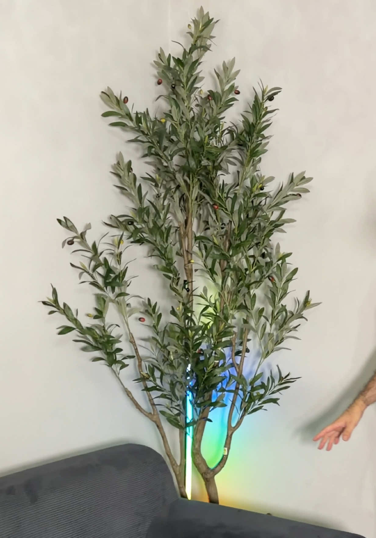 @𝐈𝐒𝐌𝐀𝐄𝐋 𝐌𝐀𝐑𝐊𝐄𝐓𝐈𝐍G