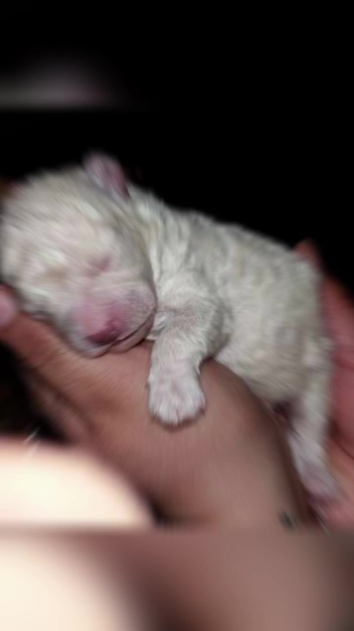 @María Clarita Ortega