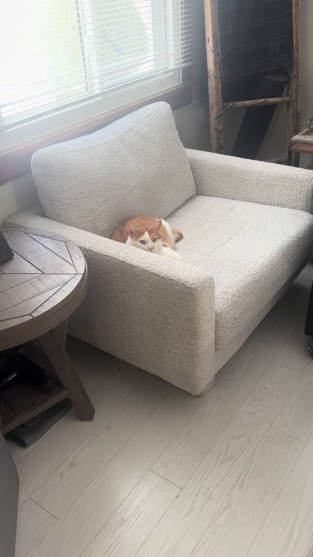 @Zilkwulf