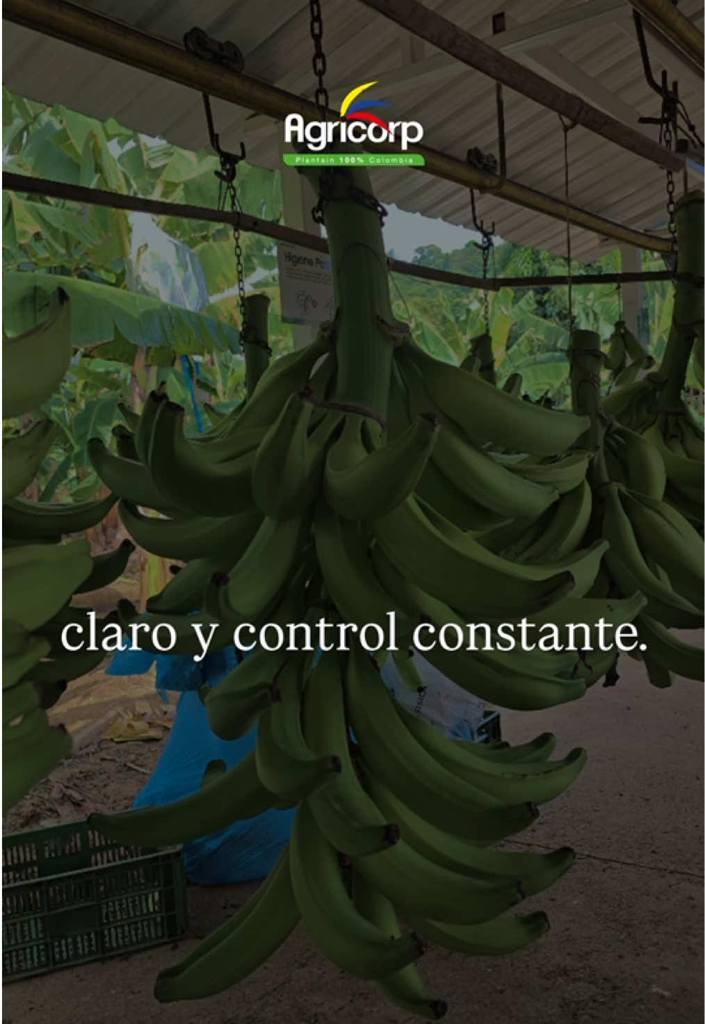 @Agricorp sas