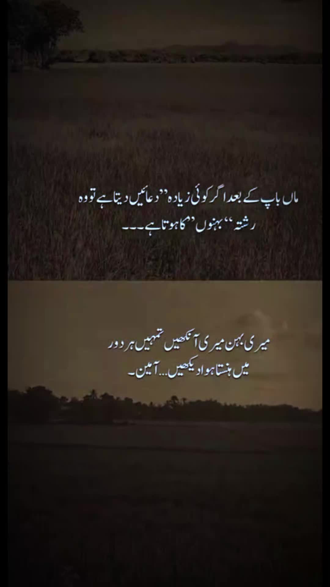 @M HASAN