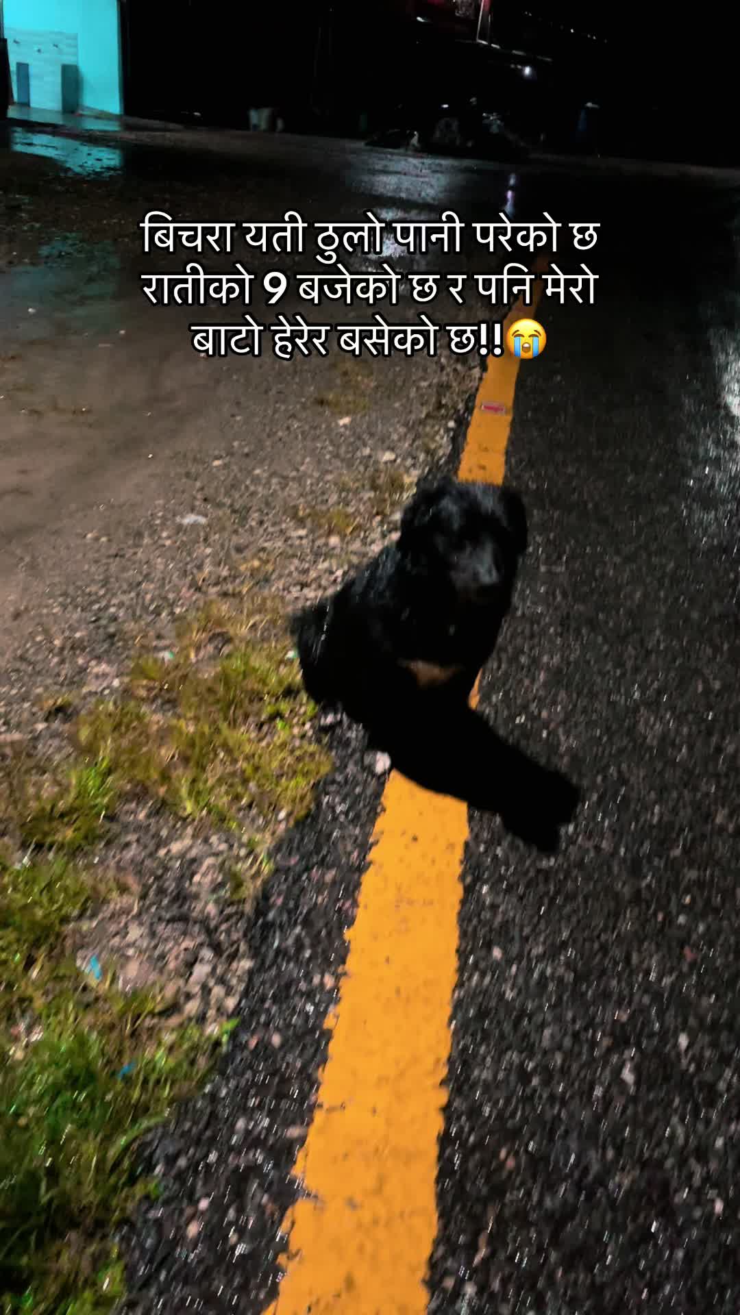 @🧿Mayara pukuli🐕🧿