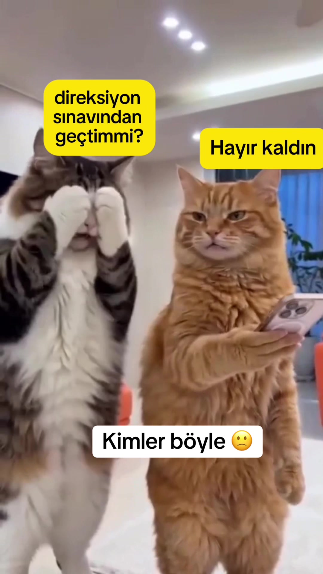 @Alev hoca