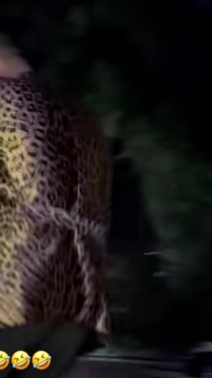 @🇦🇿.şahax.fan ✅️🎤🎭